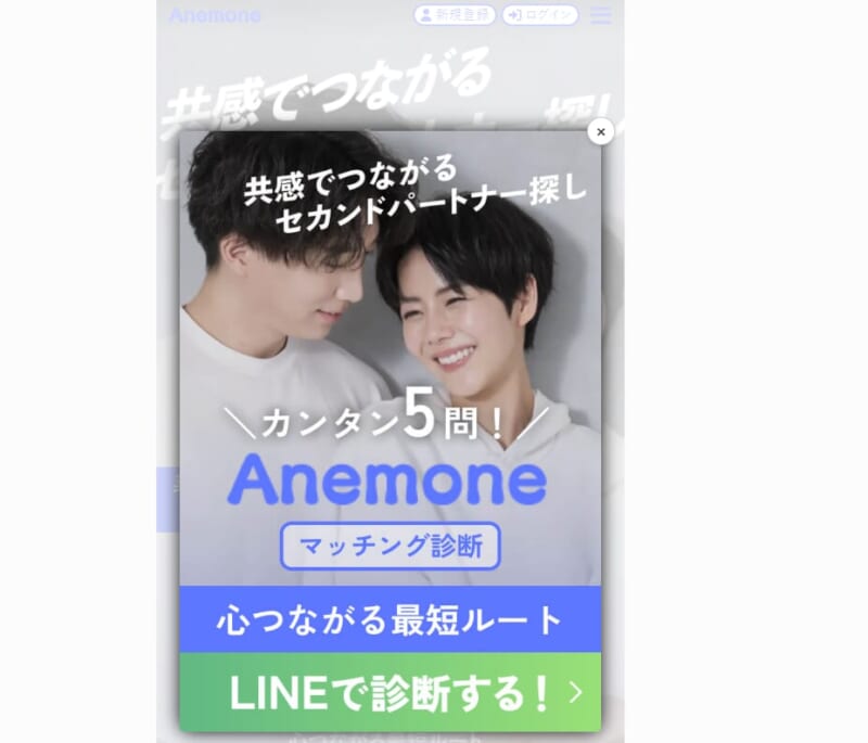 Anemone（アネモネ）